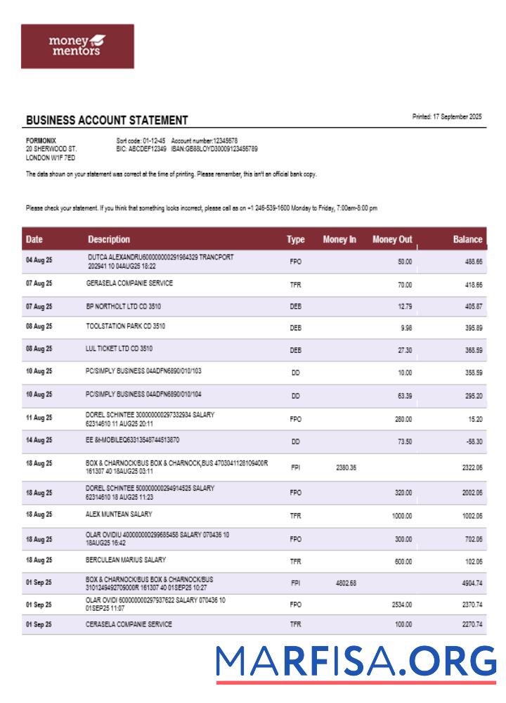 Realistic Canadian Money Mentors (MM) business organization checking statement Word and PDF format template